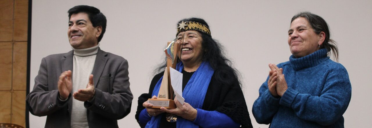 ULagos y Fundación Víctor Jara abren nueva convocatoria al Premio Regional de Artes Víctor Jara 2026