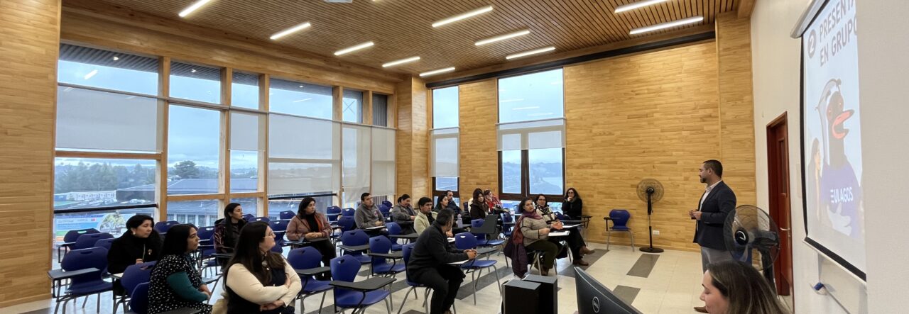 Red de Profesores ULagos retoma su articulación para fortalecer la educación en Chiloé