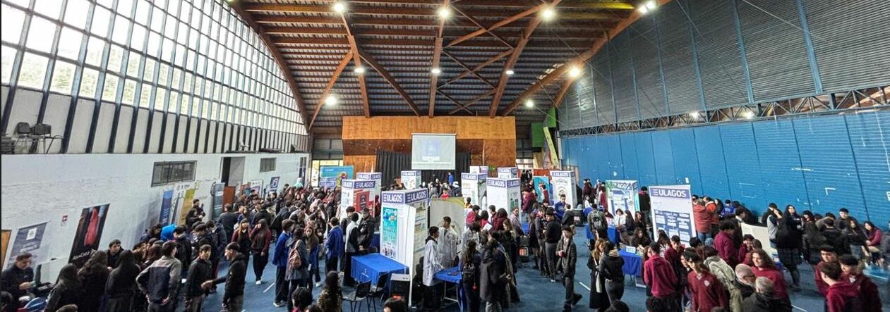 Liceo Manuel Montt y Colegio San Sebastián de Ancud ganadores de la II Feria de Ciencias Ambientales