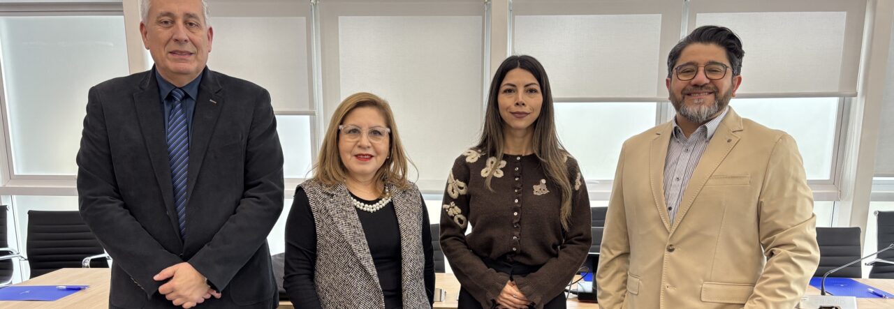 ULagos vivió intensa jornada de socialización del proyecto Ethos